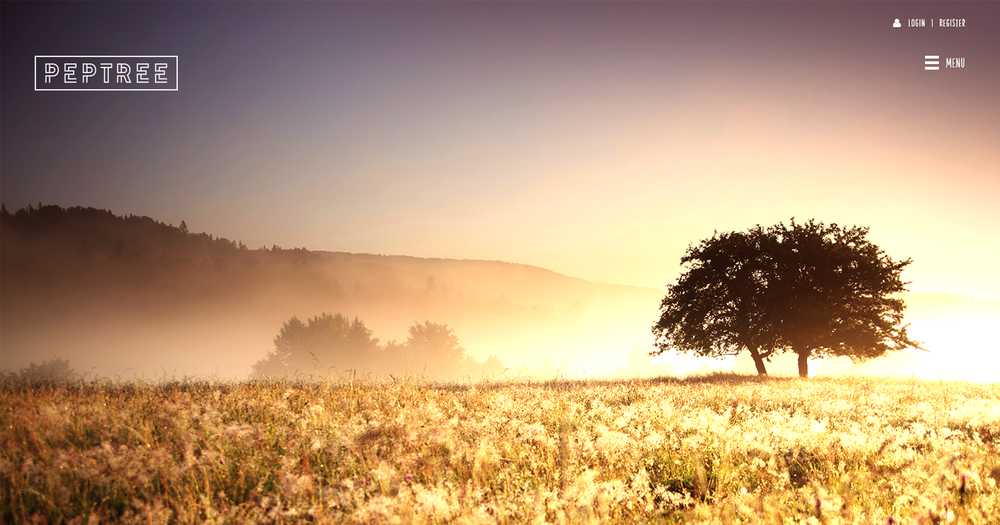 Peptree homepage hero with the Peptree logo and a lone tree silhouetted against a sunrise over a misty field