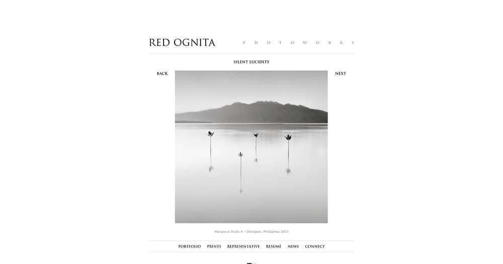 ReD Ognita 'Silent Lucidity' photo page with a minimalist black and white image of a mountain mirrored in still water beside mangrove seedlings