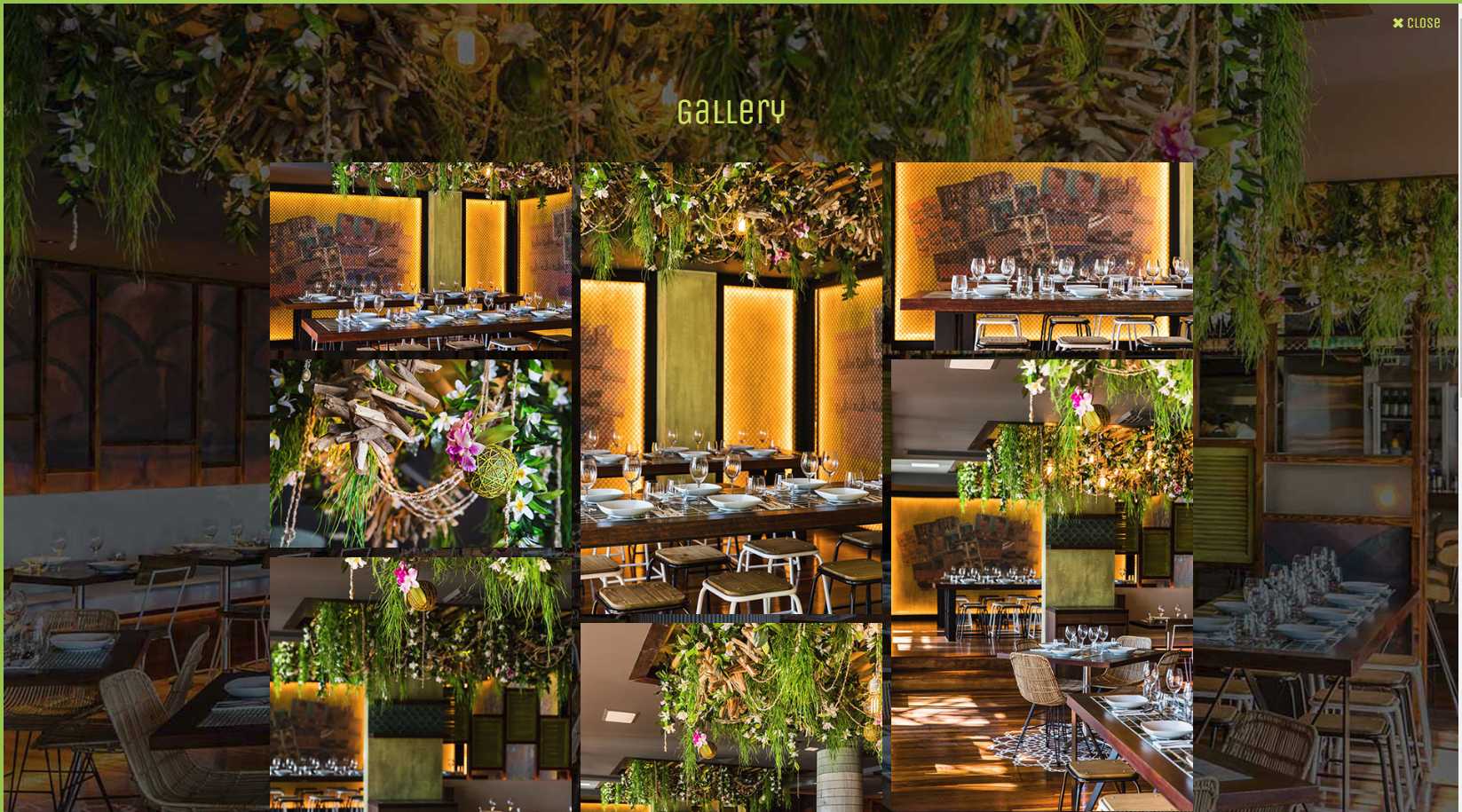 Sugarcane Restaurant gallery page showing photos of tables set with glassware, hanging greenery and orchids, and warm-lit dining rooms